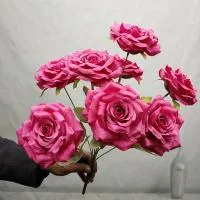 букет роз фуксия