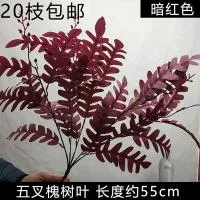 Листья акации бордовые