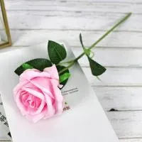 одиночная роза светло-розовая