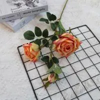 кустовая роза три шт на ветке персиковая