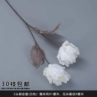 двойной тюльпан белый