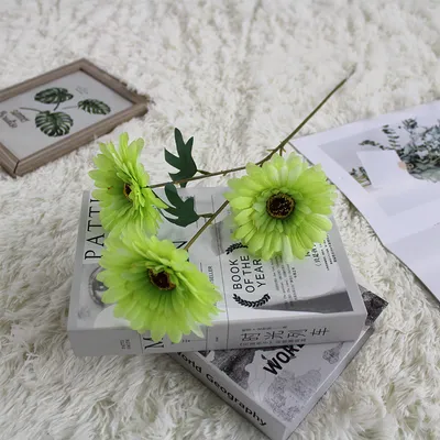 тройная гербера салатовая