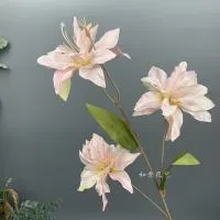 лилия тройная светло-розовый