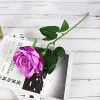 одиночная роза фиолетовая