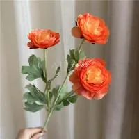 премиум ранункулюс оранжевый