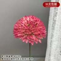 лук сотовый розовый