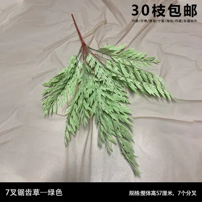 папортоник зеленый