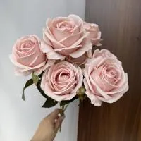 2 букета роз 7 голов пудровый