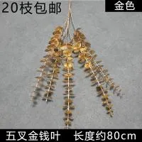 эвкалипт золото