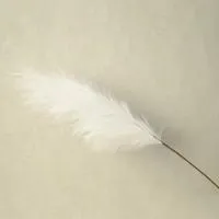 Пампасная трава опт 10 штук белая