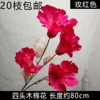 колокольчик фуксия