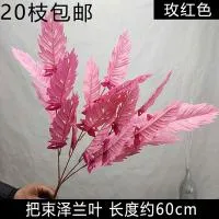 зелландия светлая фуксия