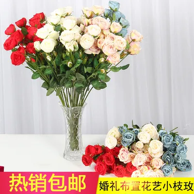 кустовый пион фиолетовый