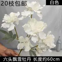 мак 6 голов белый