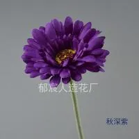 гербера темно-фиолетовый