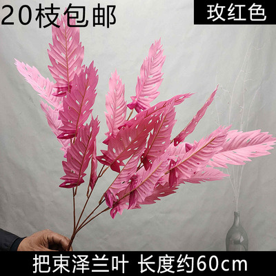 зелландия светлая фуксия