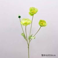 Мак, салатовый