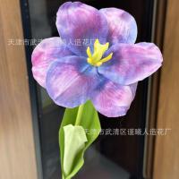 премиум открытый тюльпан 5 штук фиолетовый