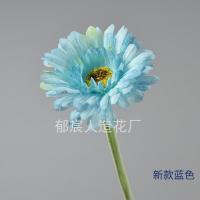 гербера голубая