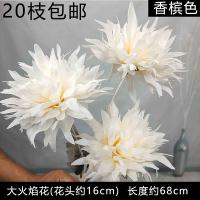 Букет огромных махровых одуванчиков, кремовый