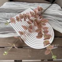 эвкалипт 5 шт пудровый