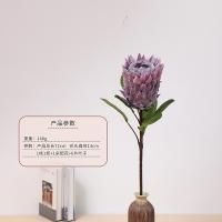 протея фиолетовый