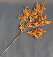 изморозь оранжевая