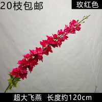 длинный дельфиниум фуксия