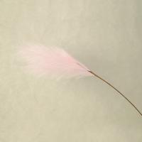 Пампасная трава опт 10 штук светло-розовая