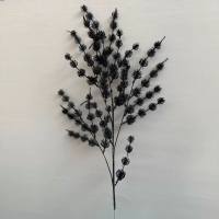 ветка колючка черная