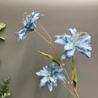 лилия тройная голубая