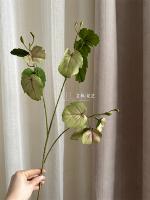 премиум ветка бегонии розовинка