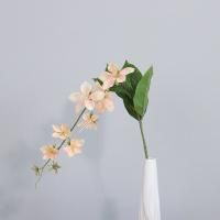 ампельный морозник опт 10 штук  бежево-розовый