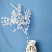 ветка колючка белая