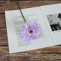 гербера одиночная фиолетовый