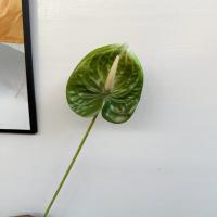 антуриум темно-зеленый