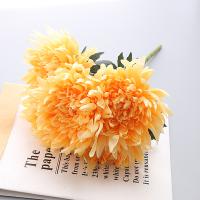 букет огромных хризантем 5 голов светло-оранжевый