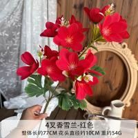 крокус 10 штук красный