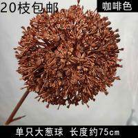 опт 10 штук одуванчик коричневый