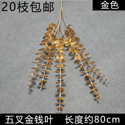 эвкалипт золото