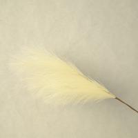 Пампасная трава опт 10 штук кремово-белый