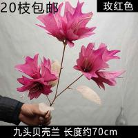 гидра фуксия