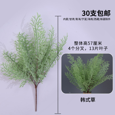 львиный зев светло-зеленый