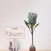 протея зеленый