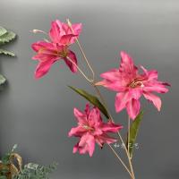 лилия тройная фуксия