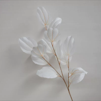 грейпфрут белый