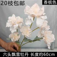 мак 6 голов шампань