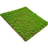 коврик мох натурально-зеленый