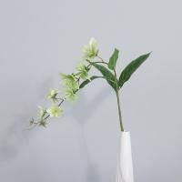 ампельный морозник опт 10 штук  светло-зеленый