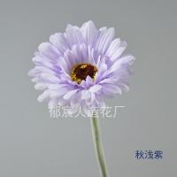 гербера светло-фиолетовый